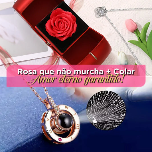 Caixa Elegante com Rosa Preservada + Colar Exclusivo: Amor que Dura Até 5 Anos